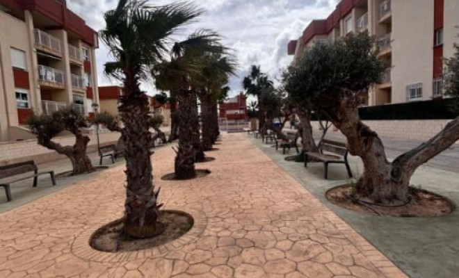 Ground floors - Neue Gebäude - Orihuela - Orihuela