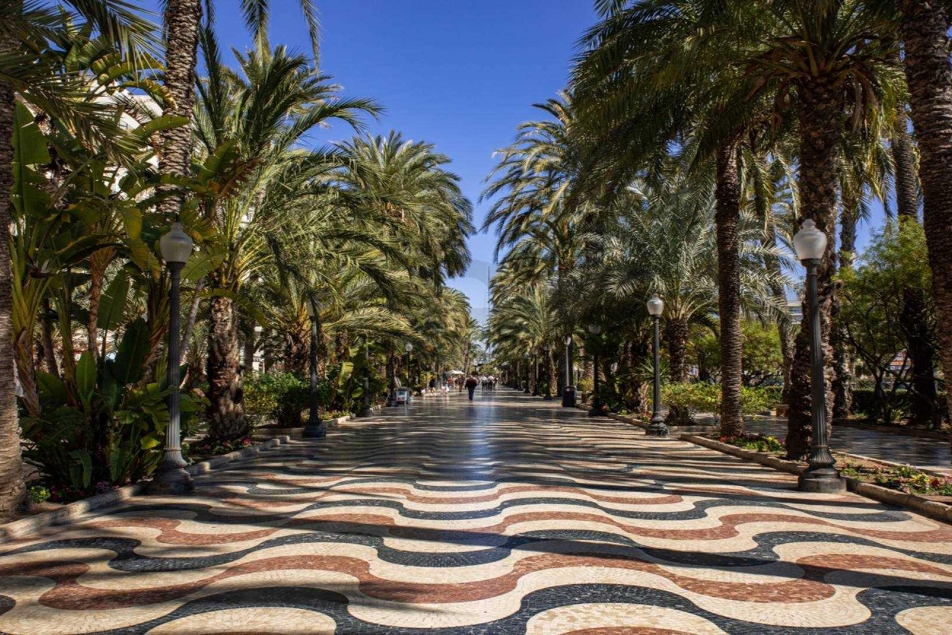 Neue Gebäude - Apartment - Alicante - Centro