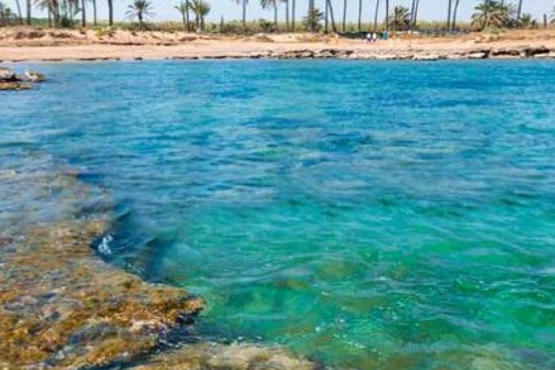 Neue Gebäude - Apartment - Torrevieja