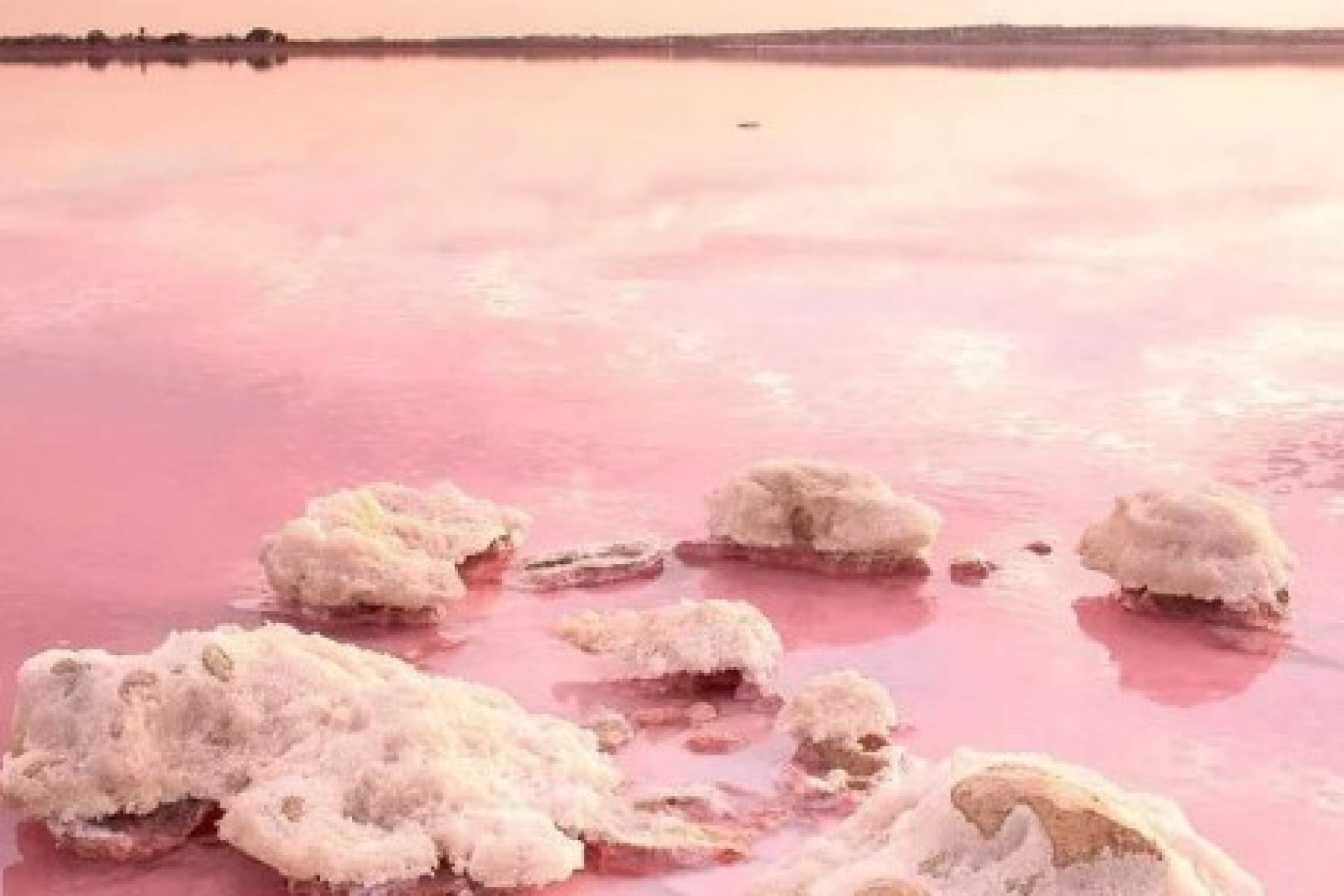 Neue Gebäude - Apartment - Torrevieja