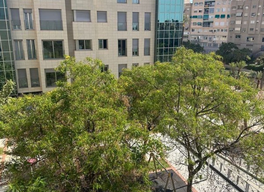 Neue Gebäude - Flats - Elche / Elx - 03201