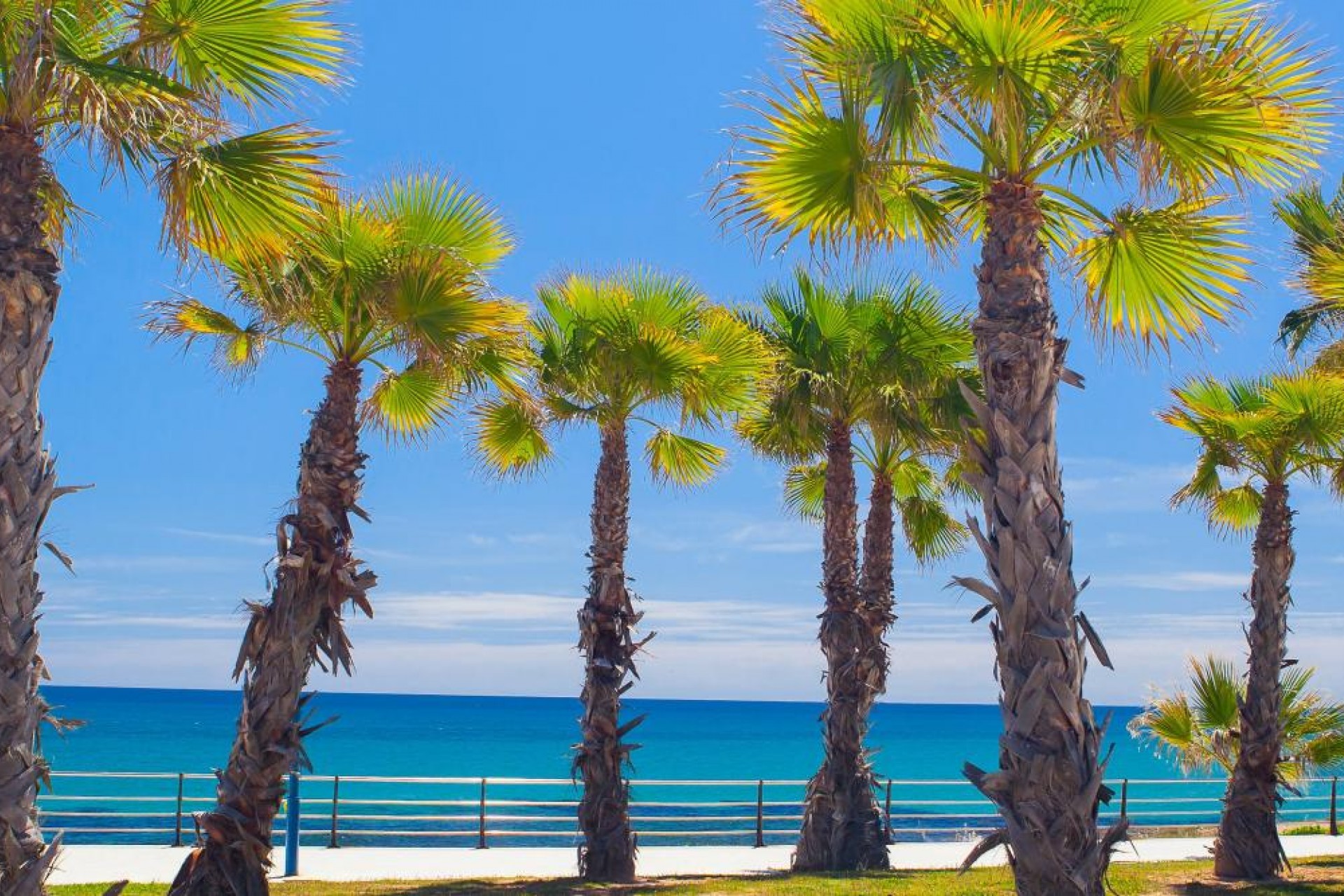 Neue Gebäude - Penthouse - Cabo Roig