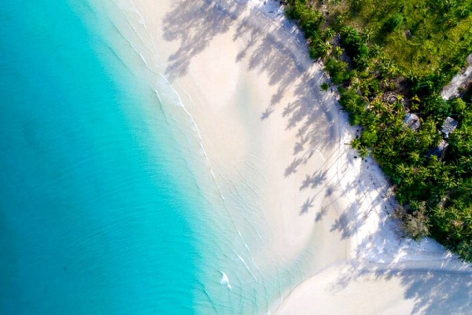 Neue Gebäude - Penthouse - Santa Pola