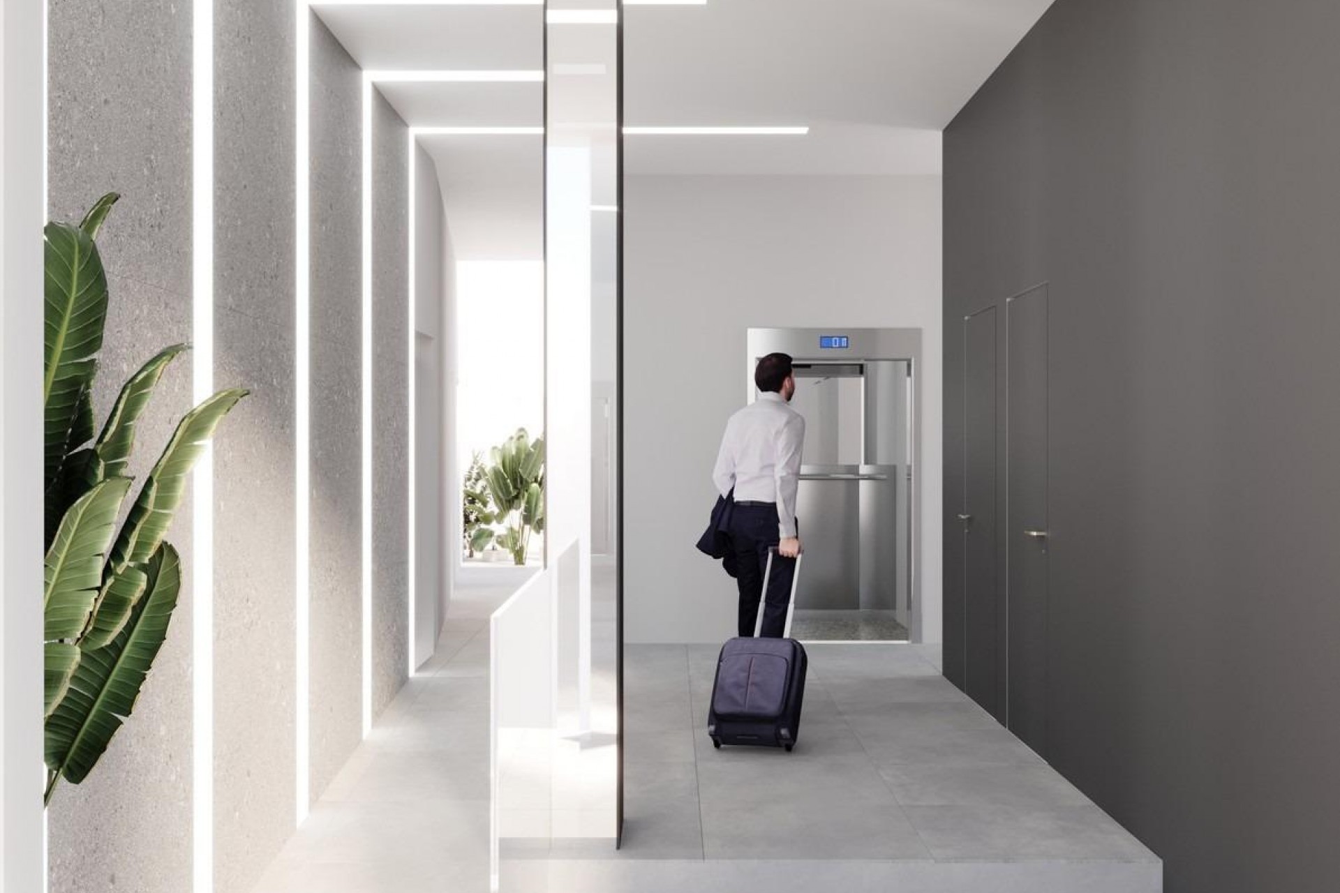 Neue Gebäude - Penthouse - Torrevieja - Centro