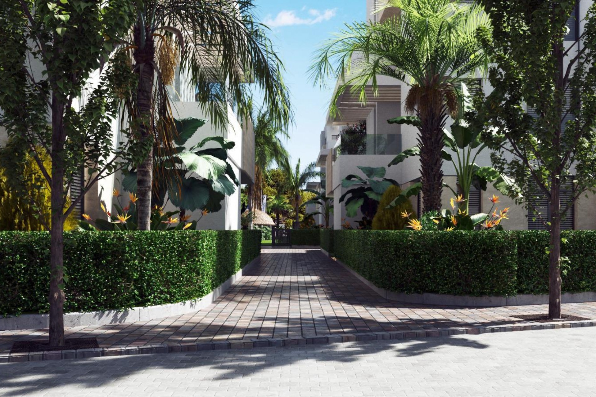 Neue Gebäude - Penthouses - Torre-Pacheco - 30710