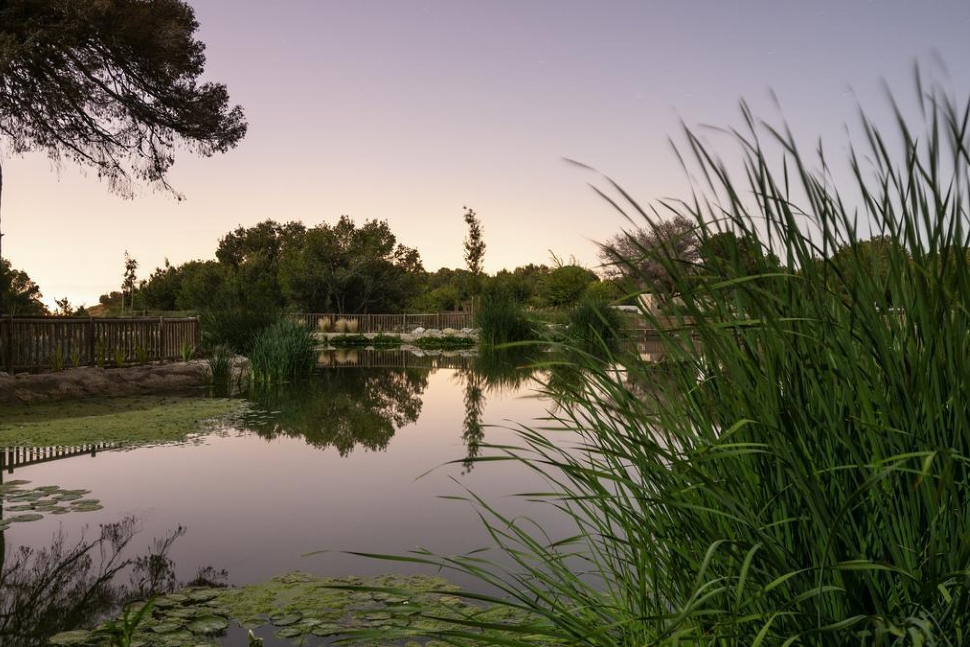 Neue Gebäude - terraced house - Daya Nueva
