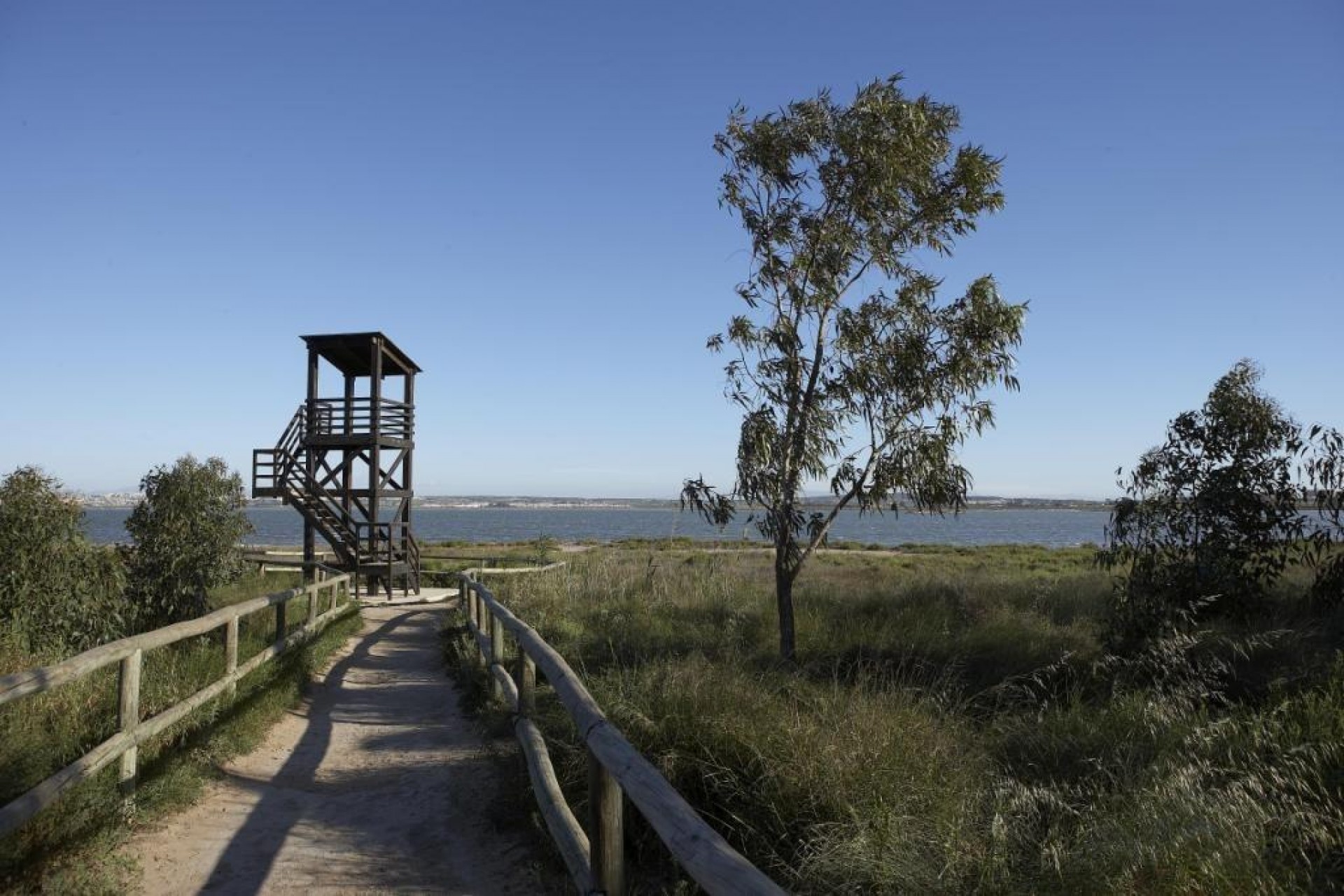 Neue Gebäude - Town House - Torrevieja - Aguas Nuevas