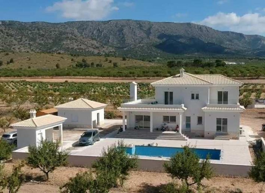 Neue Gebäude - Villa - Pinoso - Camino Del Prado