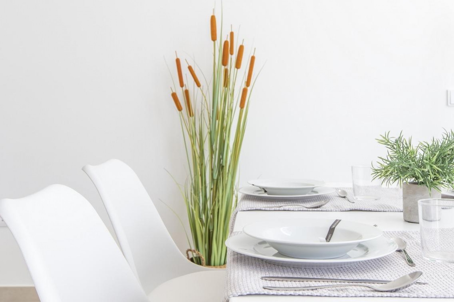 Neue Gebäude - Villa - San Javier - Parque de los leones