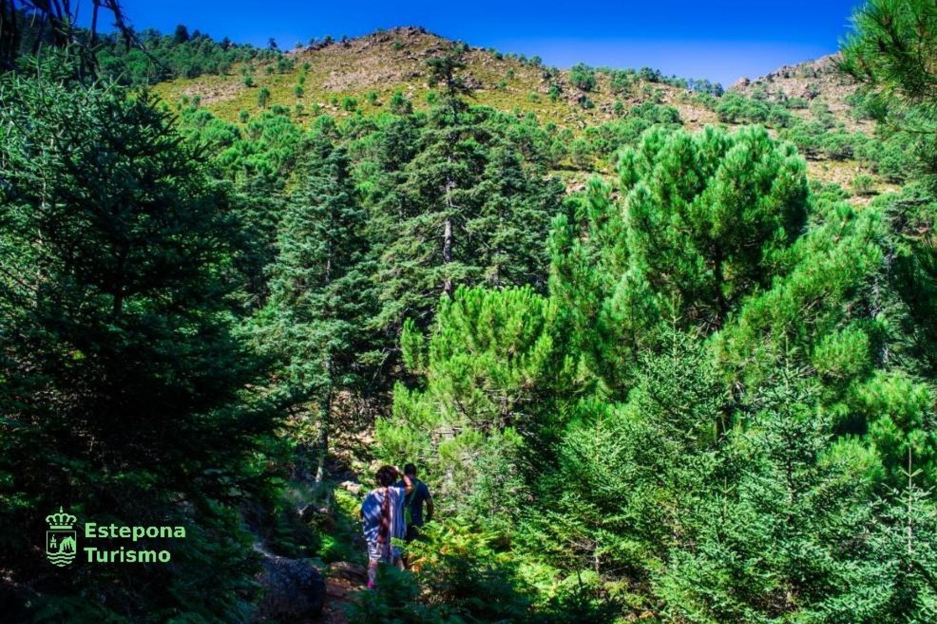 New Build - Apartment - Estepona - Playa de La Rada