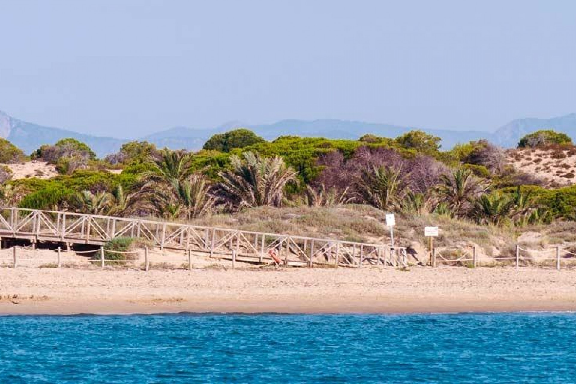 New Build - Apartment - Guardamar del Segura - Pueblo