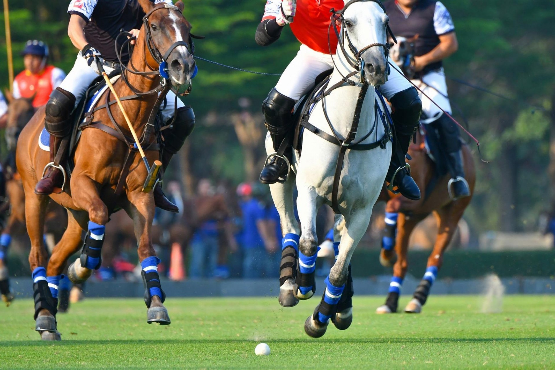 New Build - Apartment - Manilva - Bahia De Las Rocas