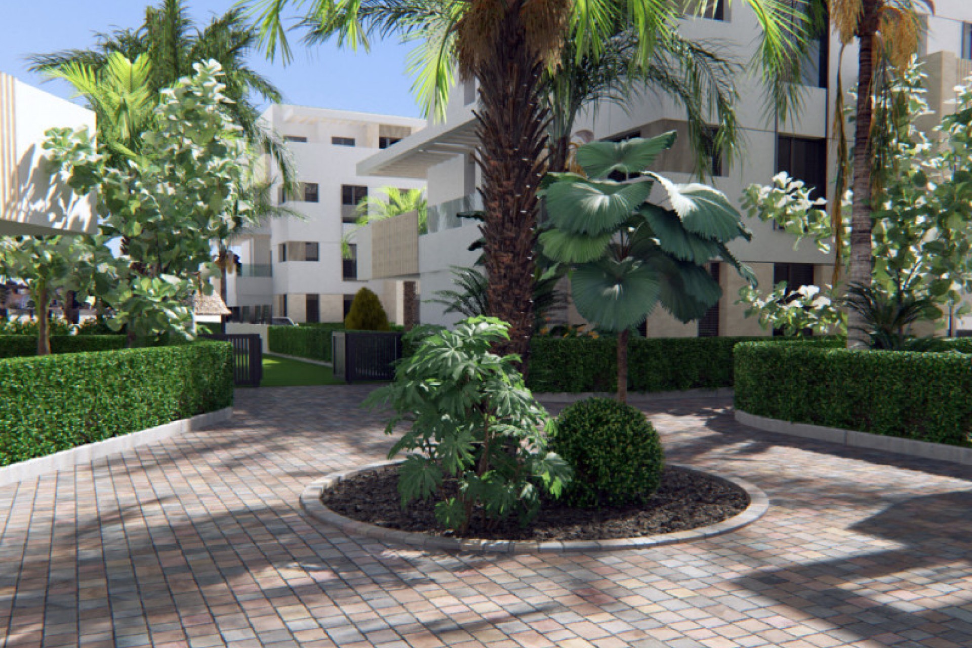 New Build - Apartment - Torre-Pacheco