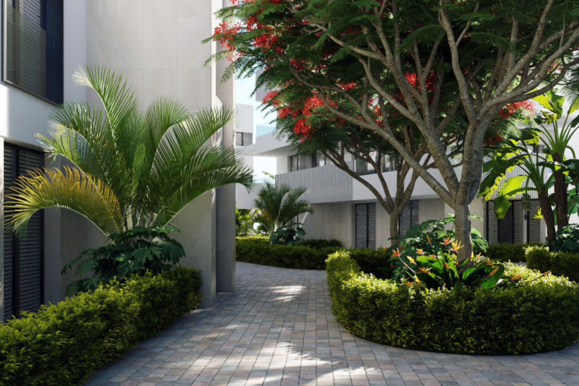 New Build - Apartment - Torre-Pacheco