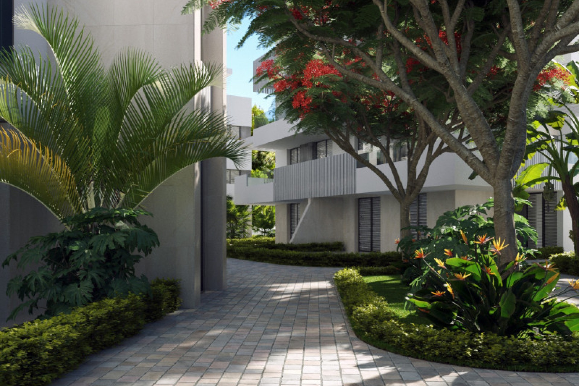 New Build - Apartment - Torre-Pacheco