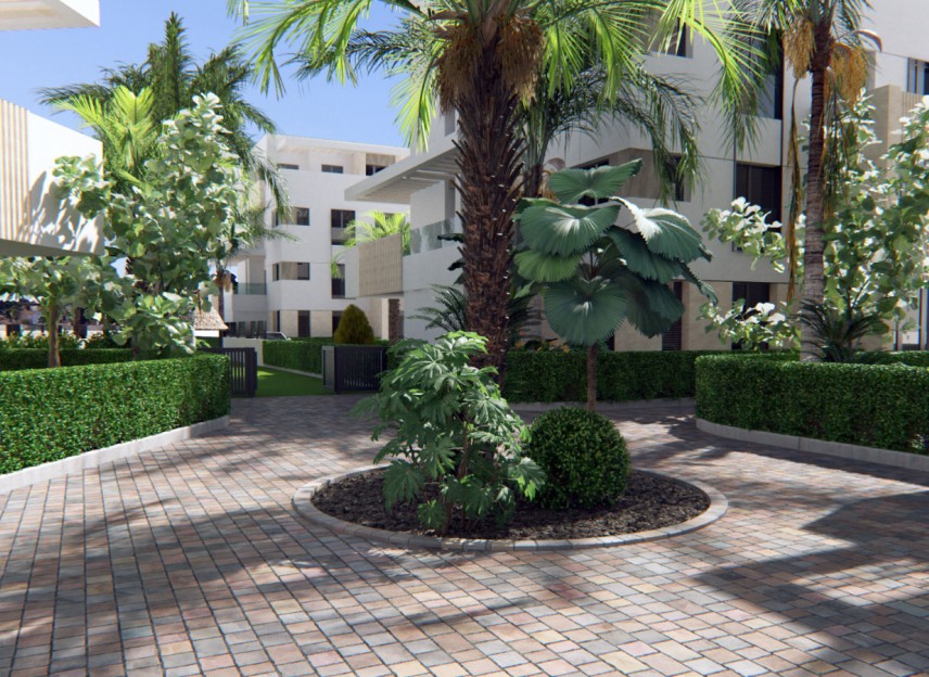 New Build - Penthouses - Torre-Pacheco - 30710