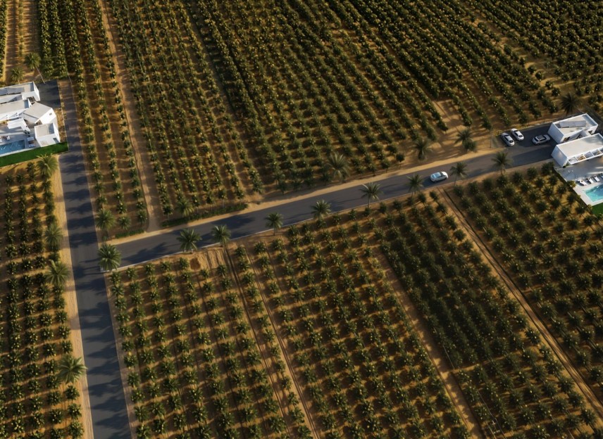 New Build - Villa - Benejúzar - alta