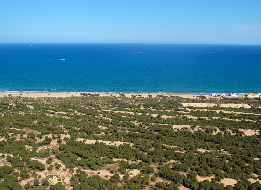 New Build - Villa - Ciudad Quesada