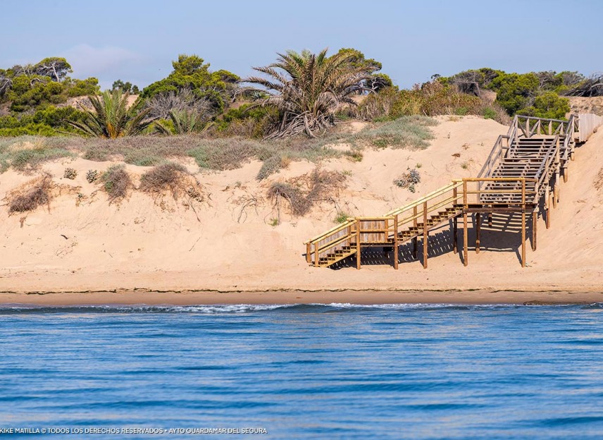 New Build - Villa - Daya Nueva