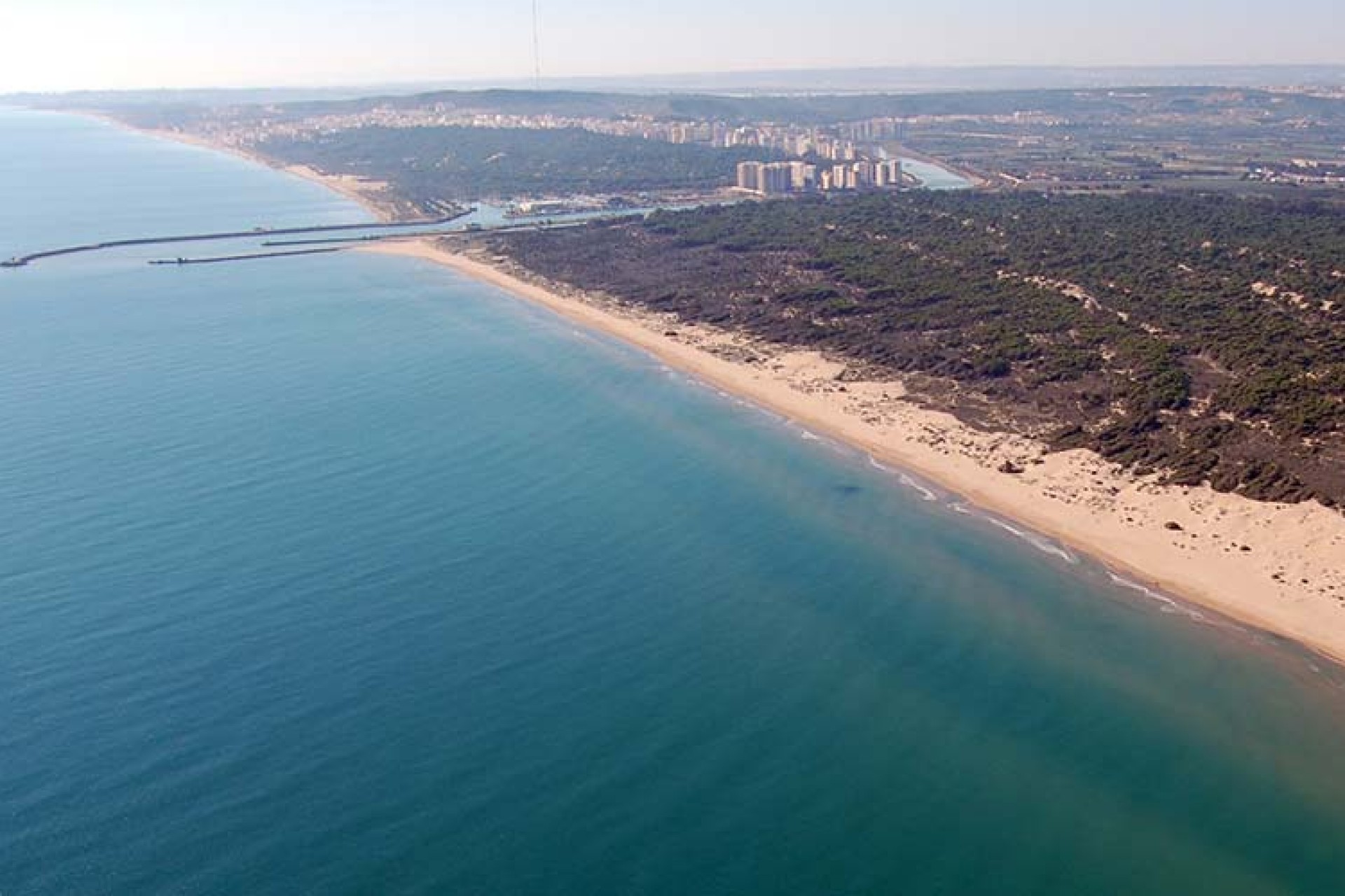 New Build - Villa - Daya Nueva