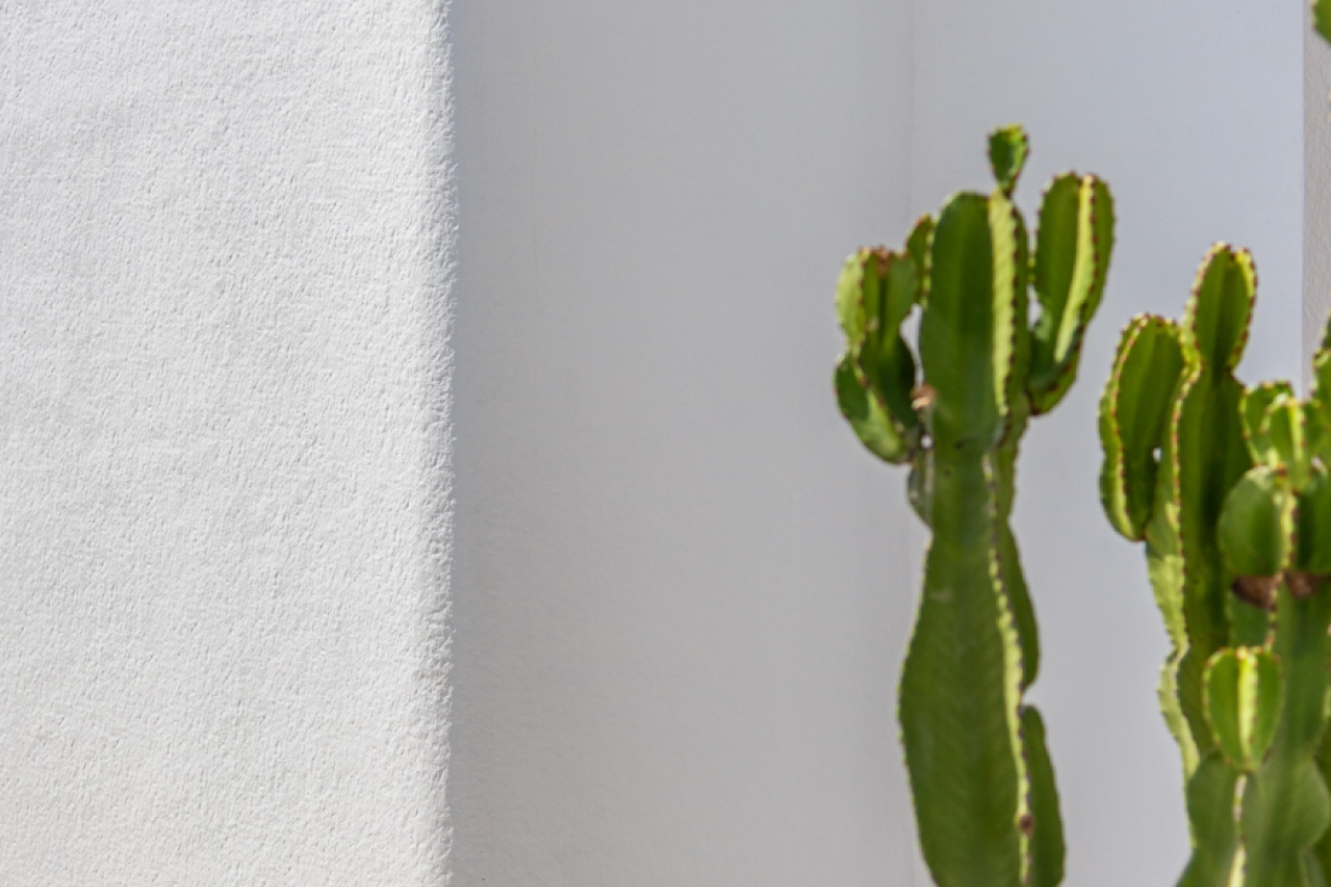 New Build - Villa - Los Alcazares - Los Alcázares