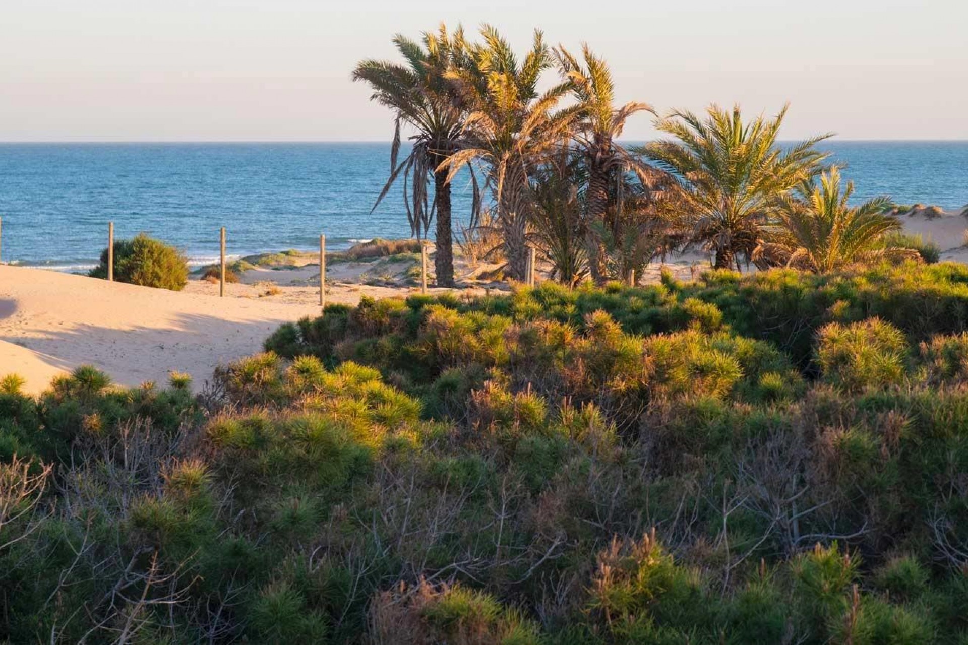 Nieuwbouw - Appartement - Guardamar del Segura - Avda del Puerto