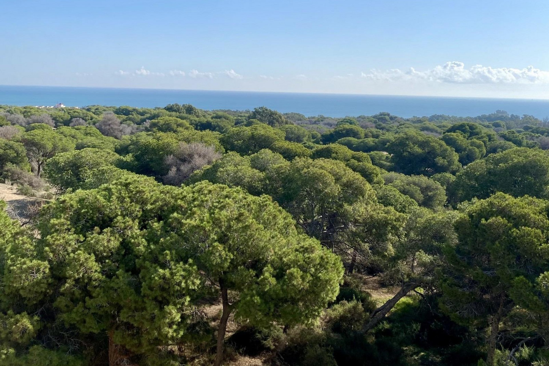 Nieuwbouw - Appartement - Guardamar del Segura - Centro
