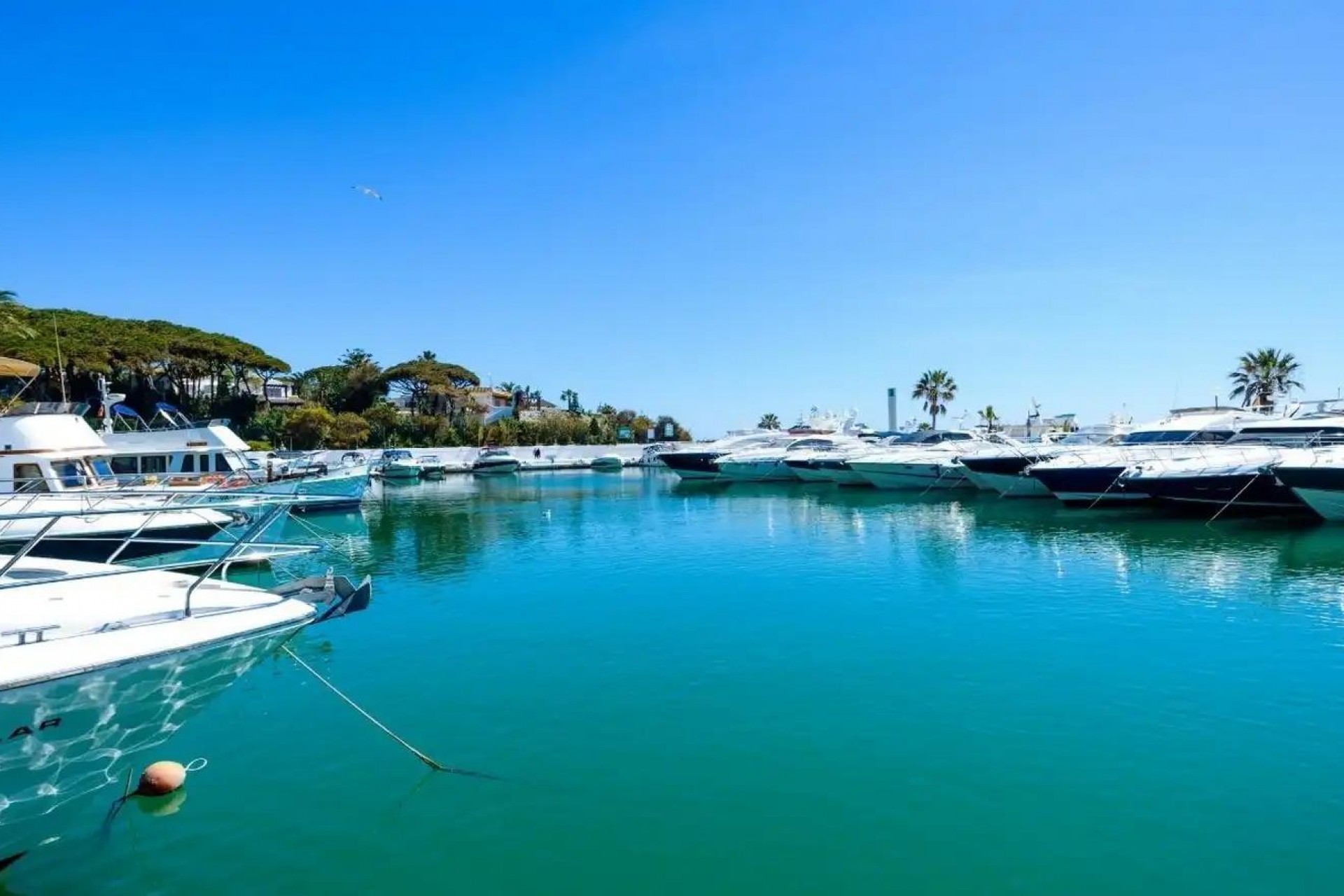 Nieuwbouw - Appartement - Marbella - Cabopino Golf