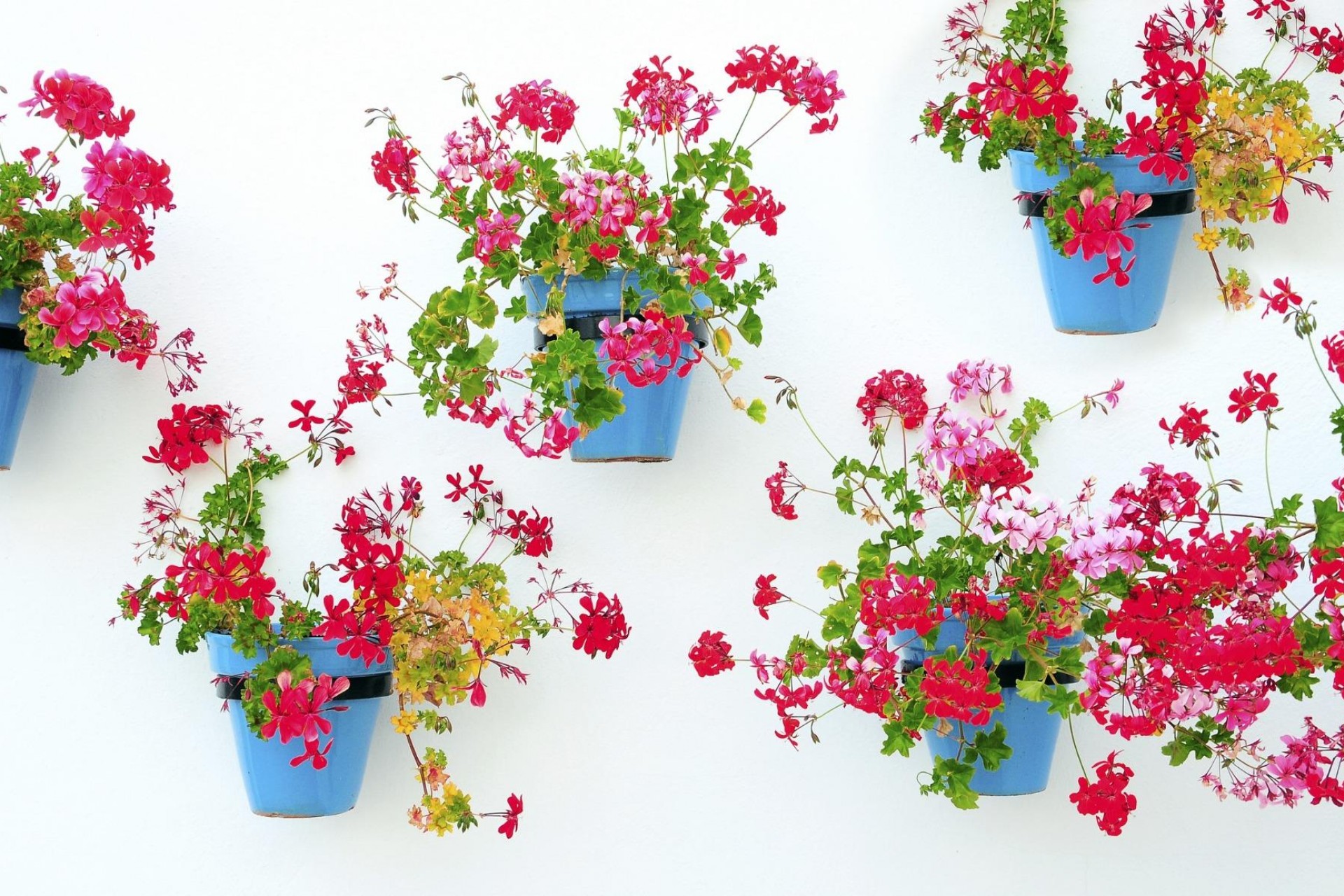 Nieuwbouw - Appartement - Mijas - La Noria Golf