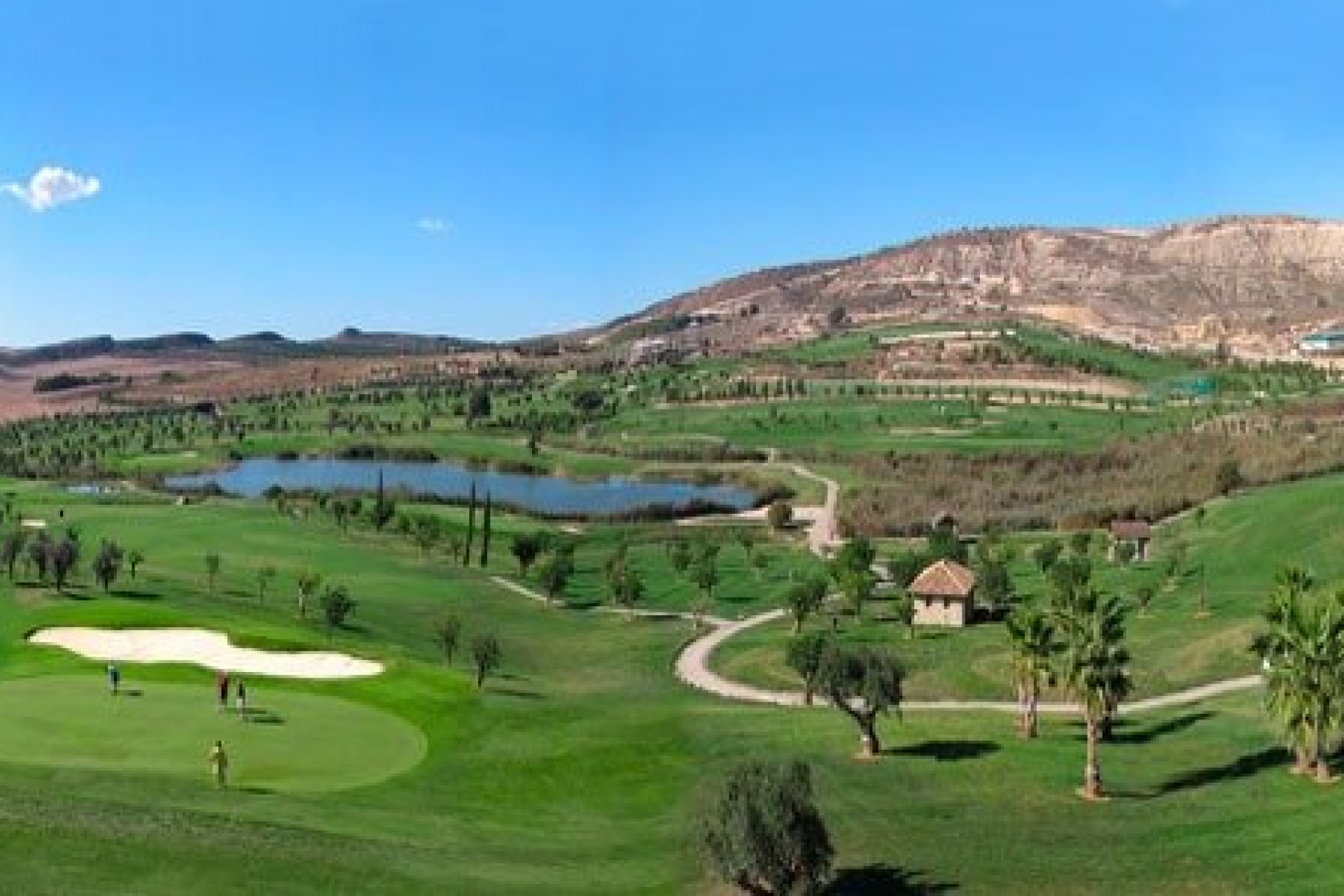 Nieuwbouw - Bungalow - Algorfa - La Finca Golf