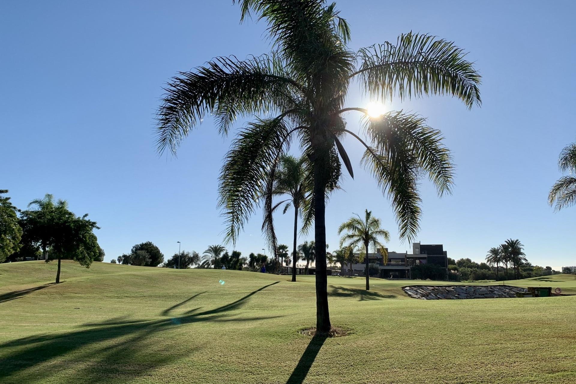 Nieuwbouw - Bungalow - San Javier - Roda Golf