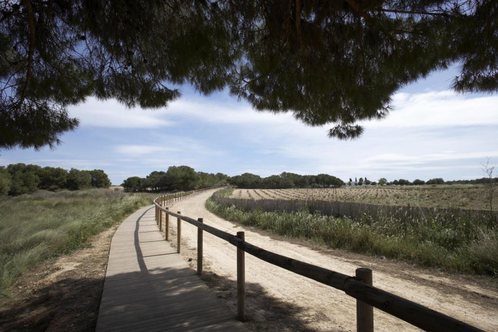 Nieuwbouw - Bungalow - Torrevieja - Aguas Nuevas