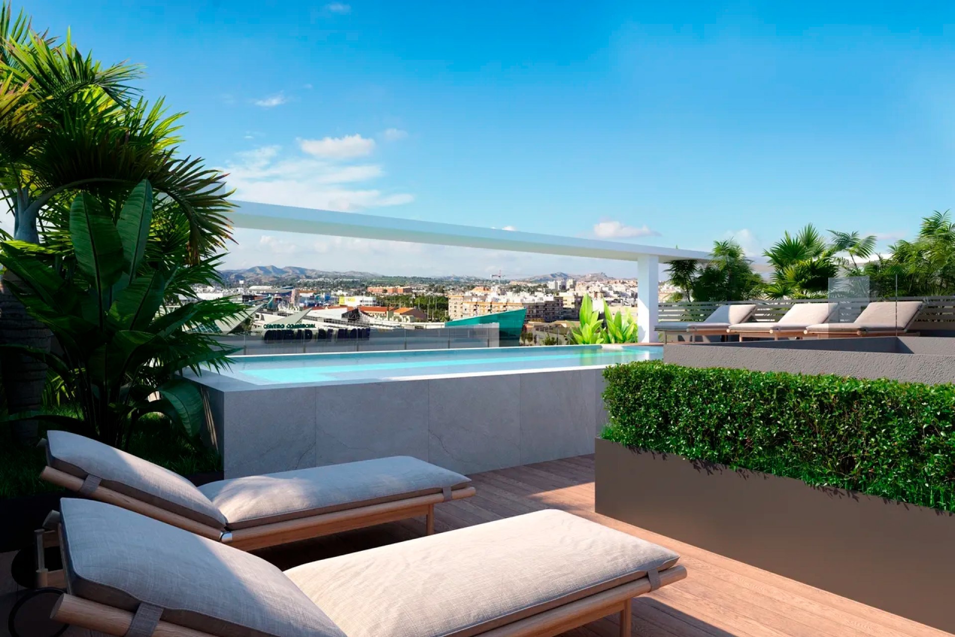 Nieuwbouw - Penthouse - Elx