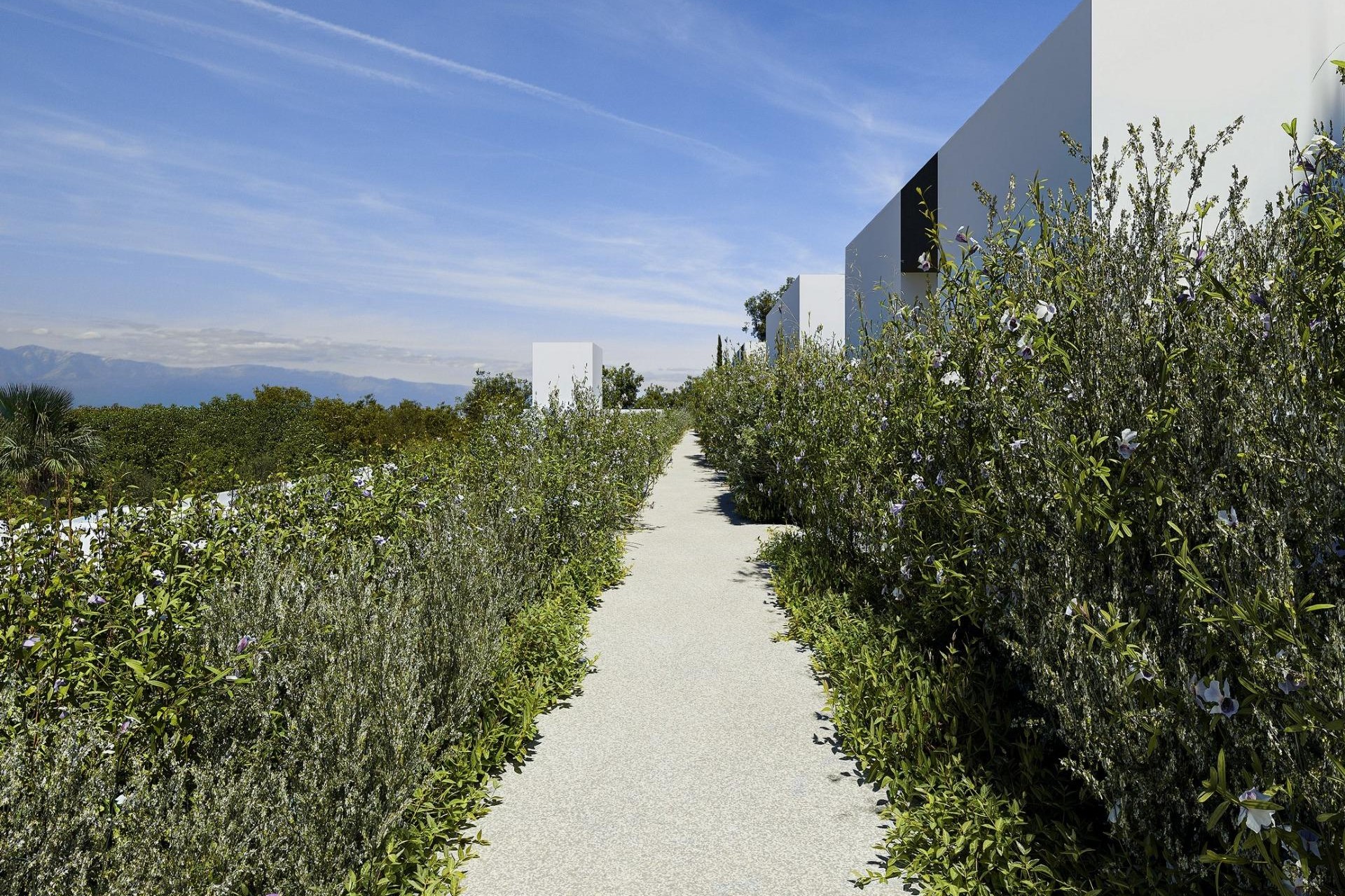 Nieuwbouw - Villa - Alfas del Pí - Barranc Fondo