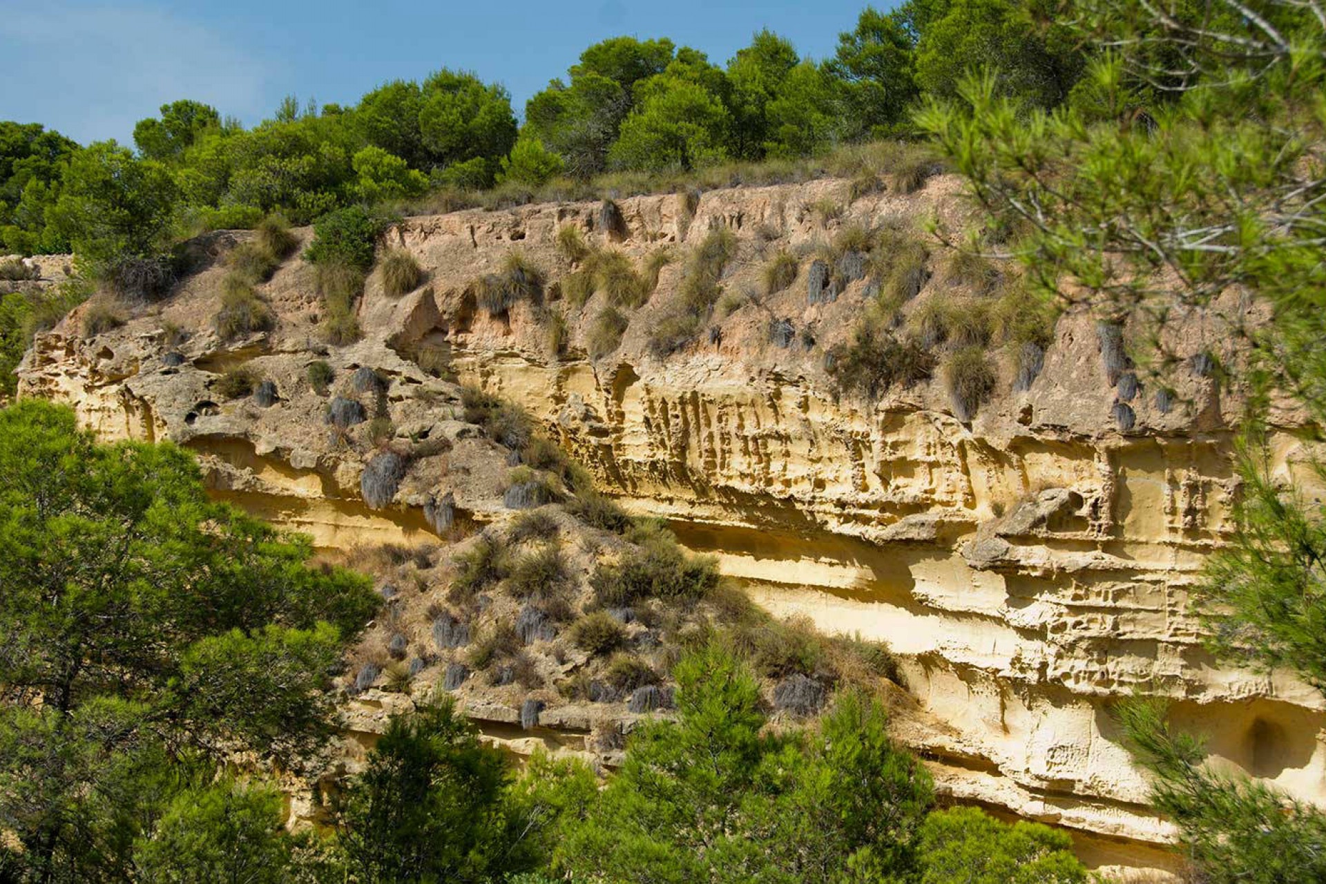 Nieuwbouw - Villa - Pinar de Campoverde