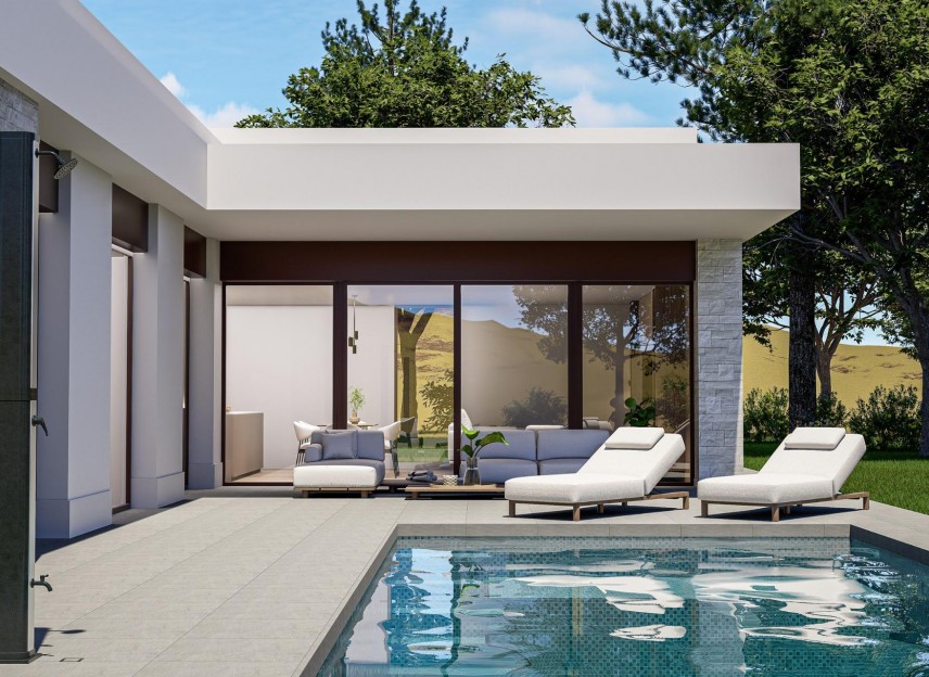 Nieuwbouw - Villa - Pinoso - Lel