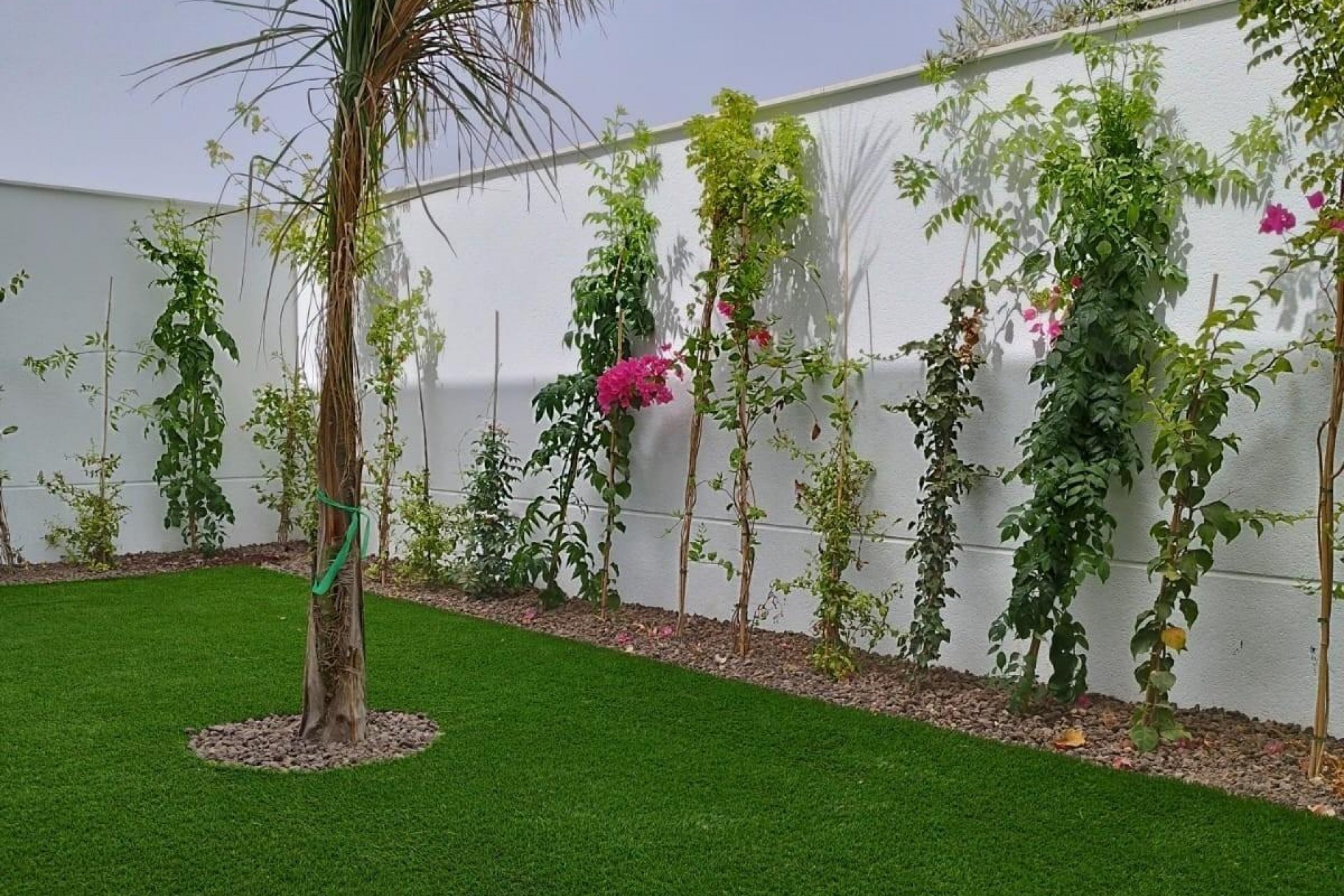 Nieuwbouw - Villa - San Javier - Parque del doce