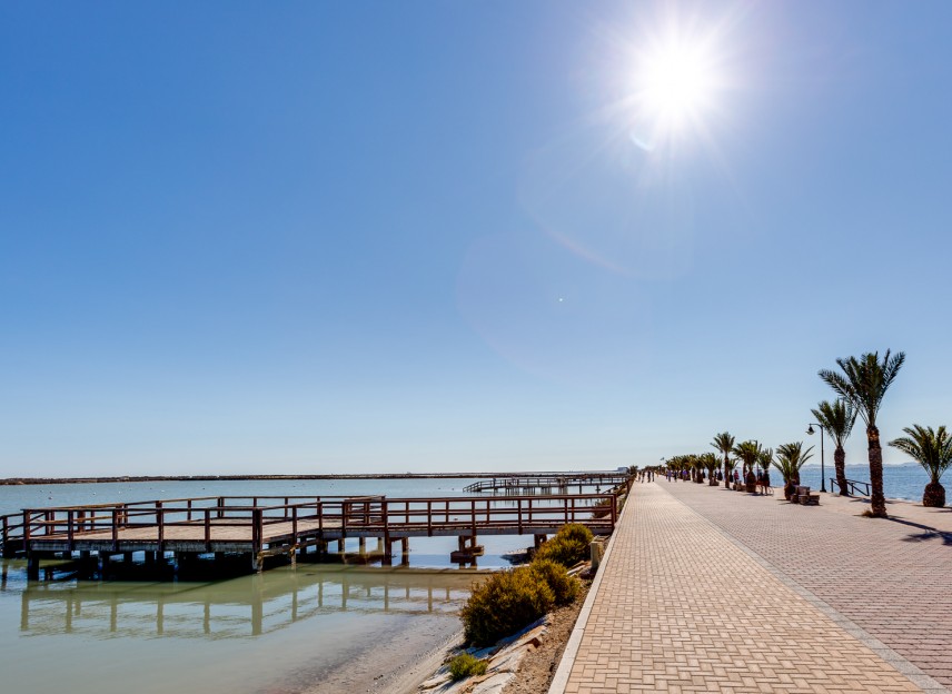 Nieuwbouw - Villas - Pilar de la Horadada - 03190