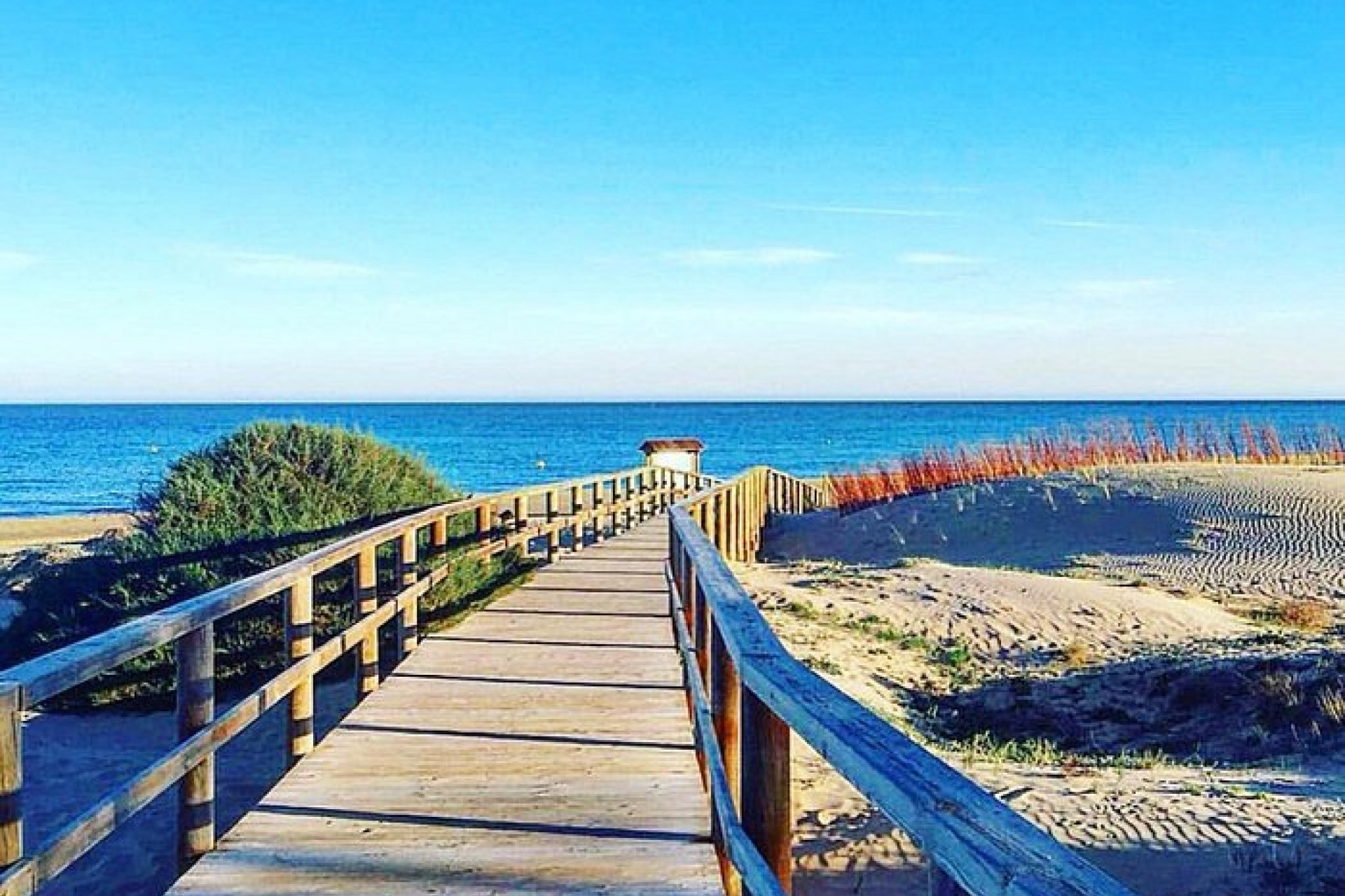 Nouvelle construction - Apartment - Los Arenales del Sol