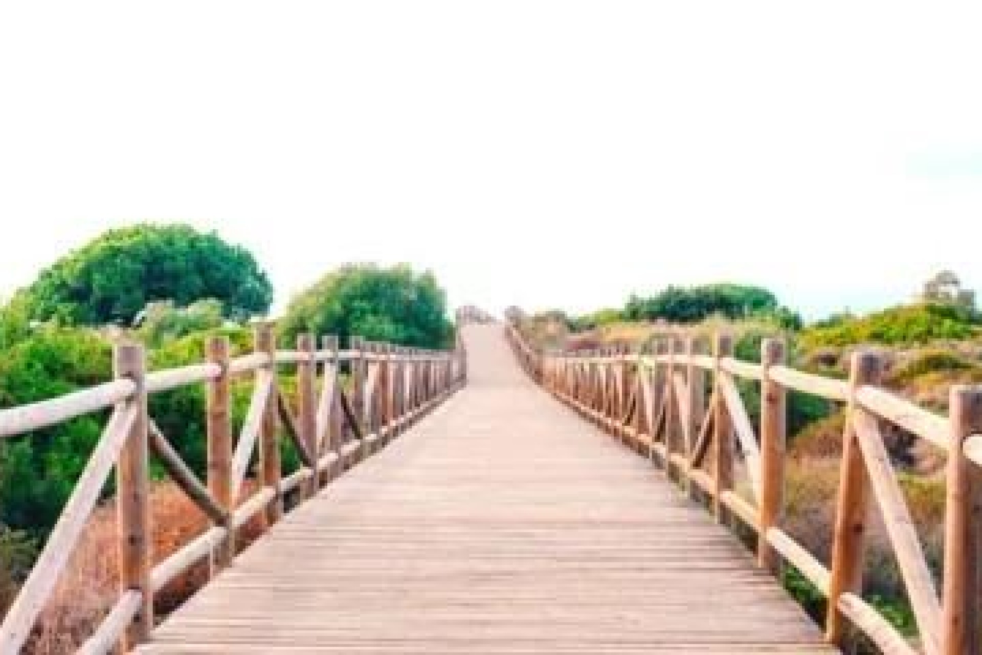 Nouvelle construction - Apartment - Marbella - Cabopino