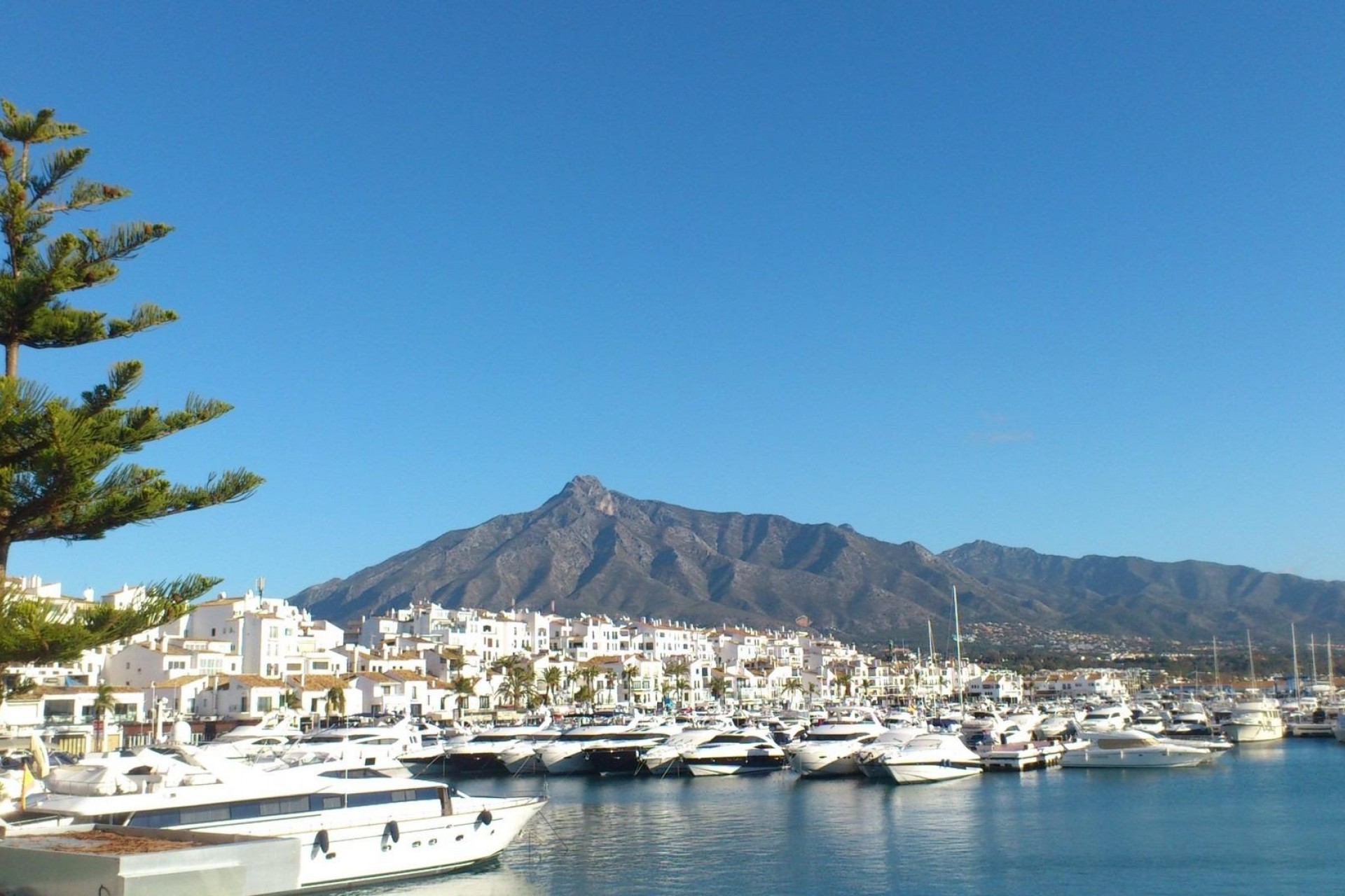 Nouvelle construction - Apartment - Marbella - Nueva Andalucia