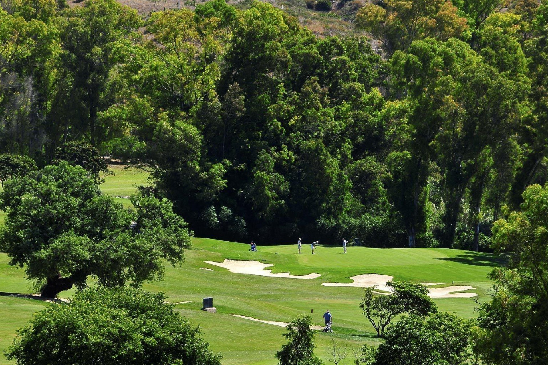 Nouvelle construction - Apartment - Mijas - Mijas Golf