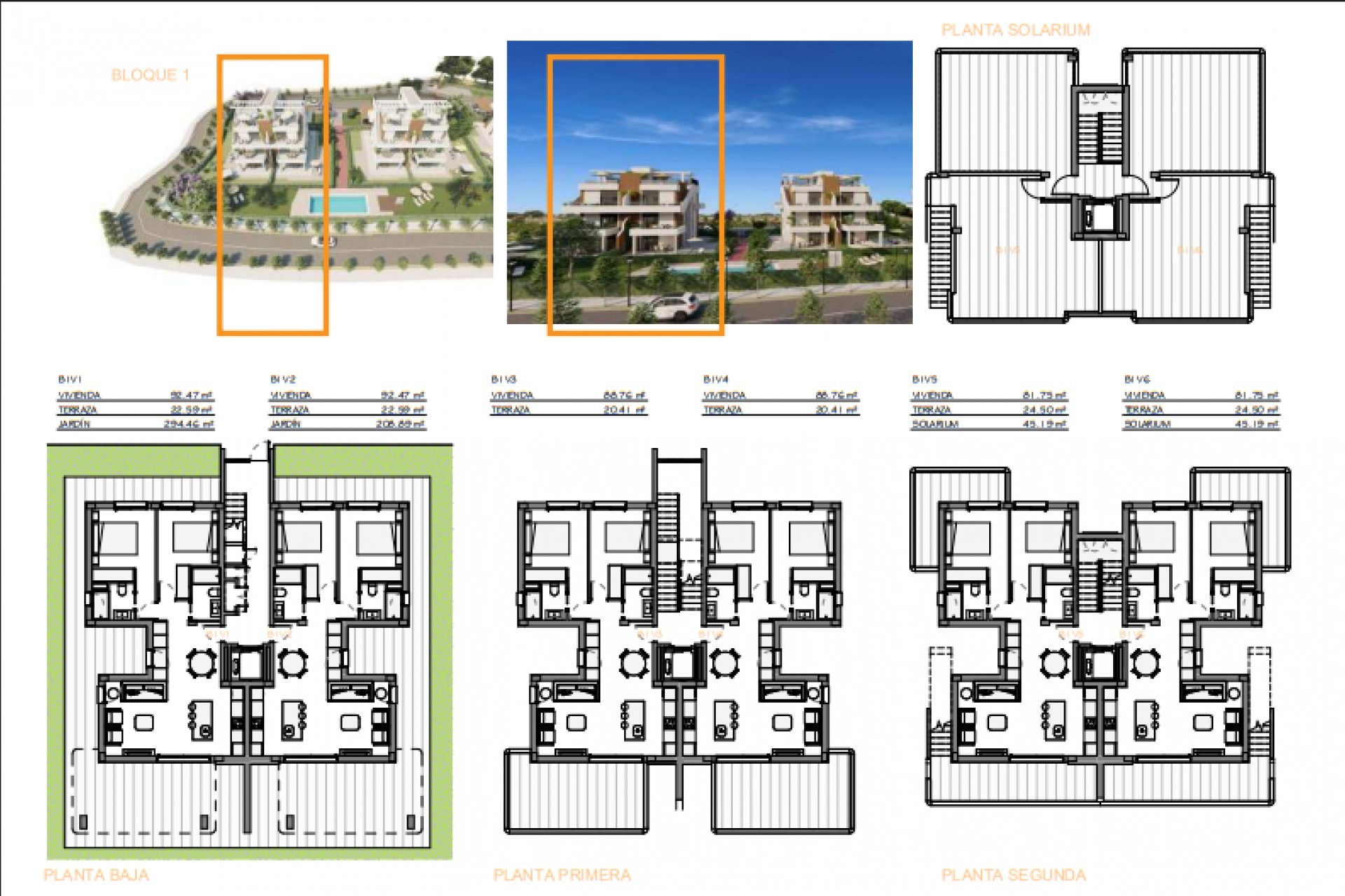 Nouvelle construction - Flats - Fuente Álamo - Fuente Alamo