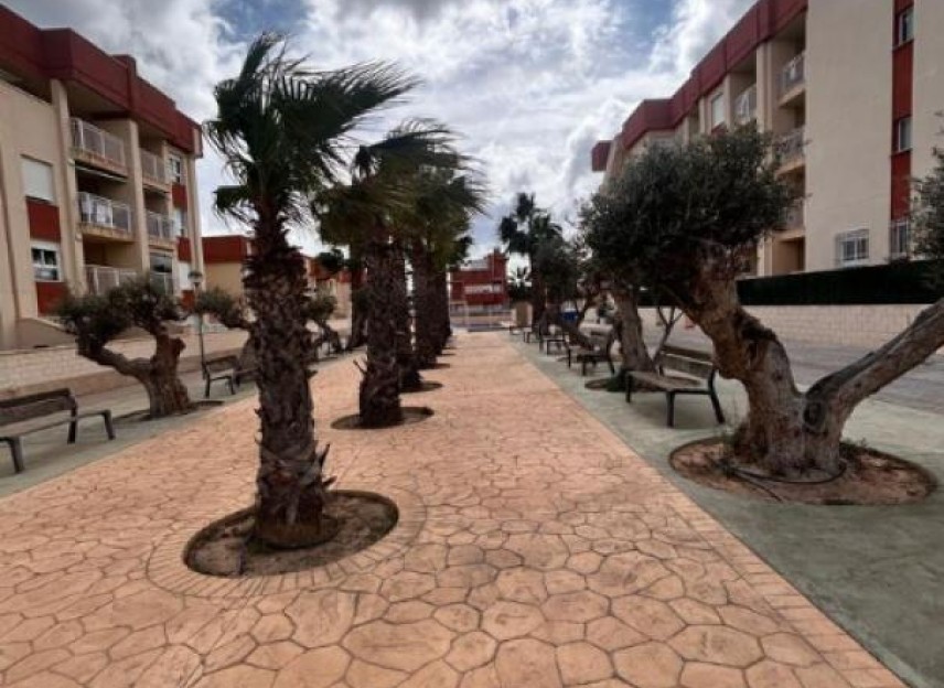 Nouvelle construction - Flats - Orihuela