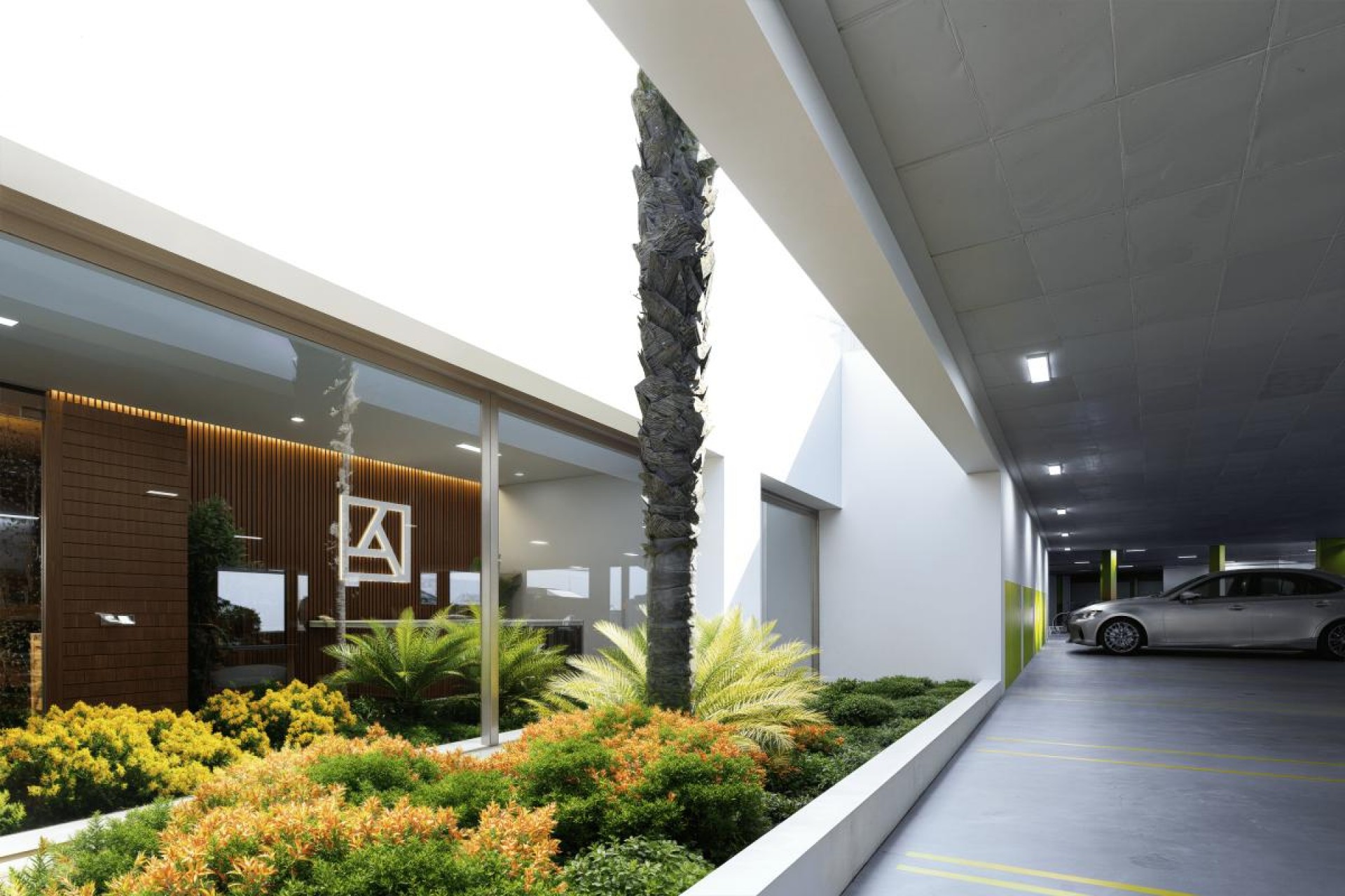 Nouvelle construction - Maison de ville - Los Alcazares - Los Alcázares
