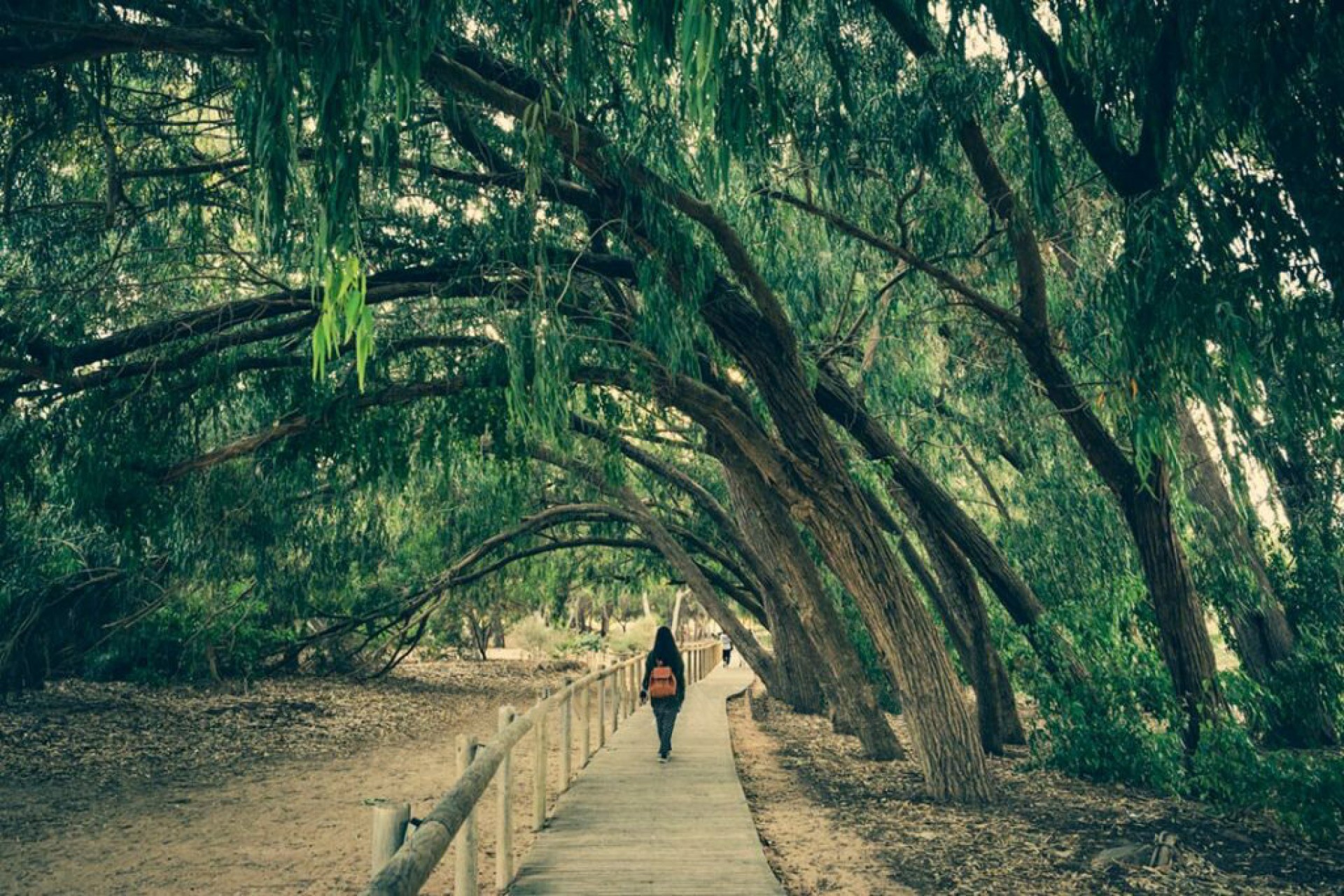 Nouvelle construction - Villa - Los Montesinos