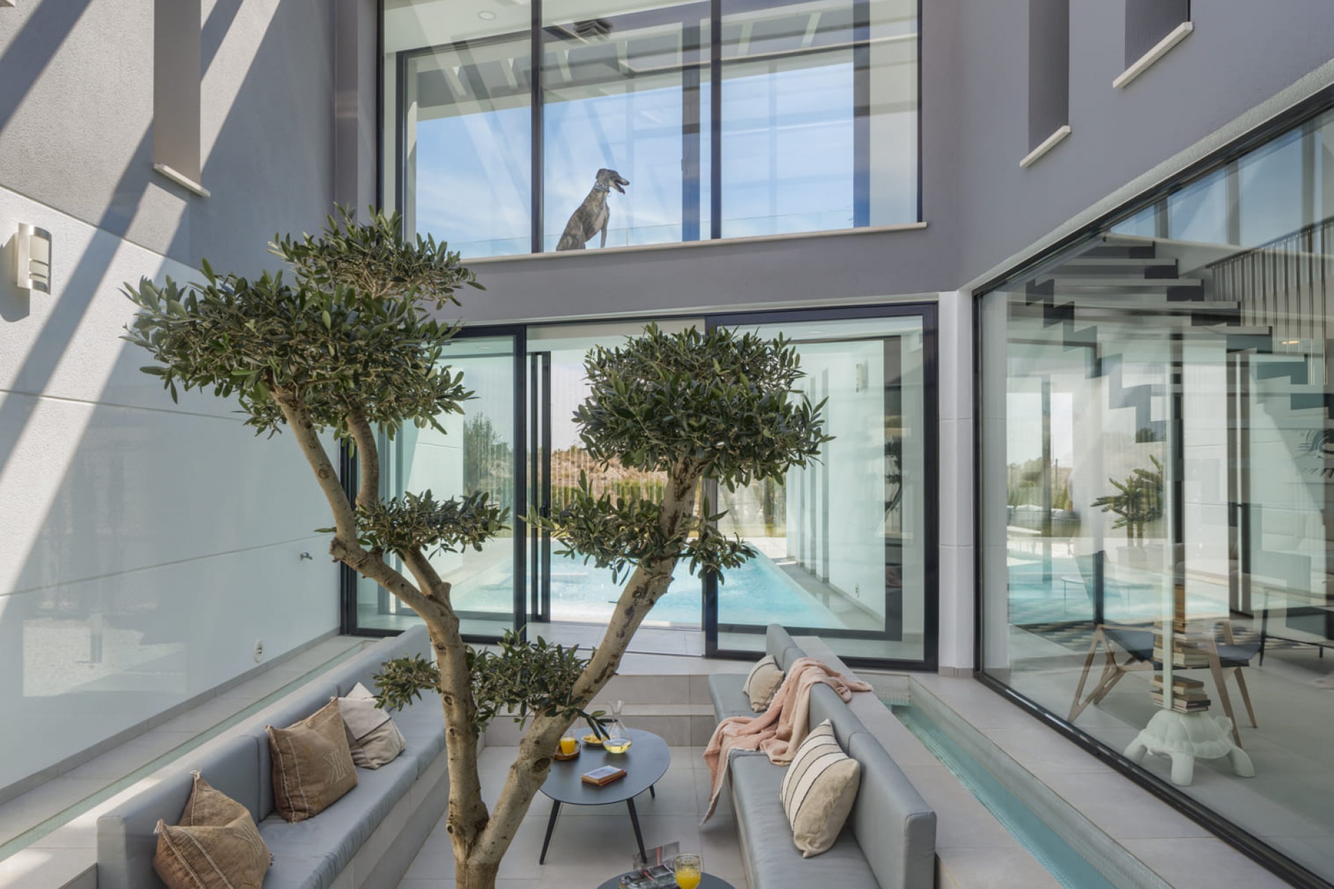 Nouvelle construction - Villa - Murcia