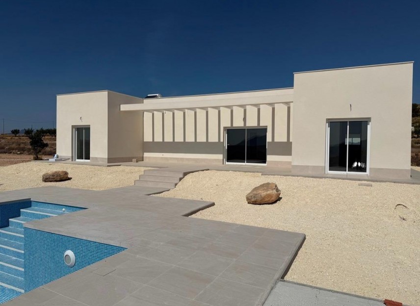Nouvelle construction - Villa - Pinoso - Camino Del Prado