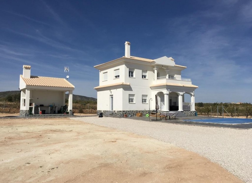 Nouvelle construction - Villa - Pinoso - Camino Del Prado