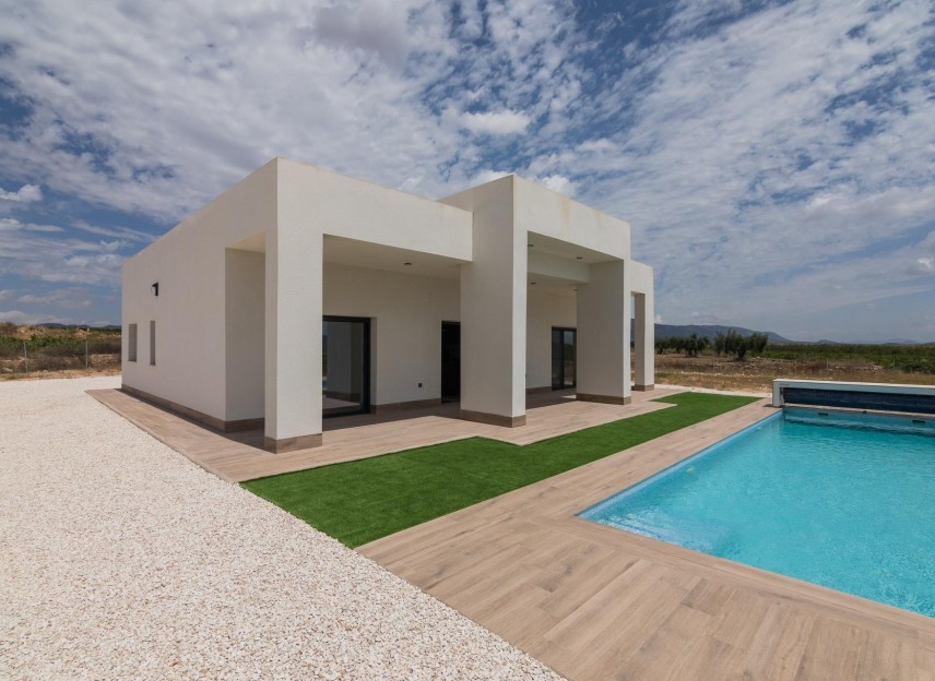 Nouvelle construction - Villa - Pinoso - Campo